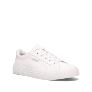 Plim Soul Lux