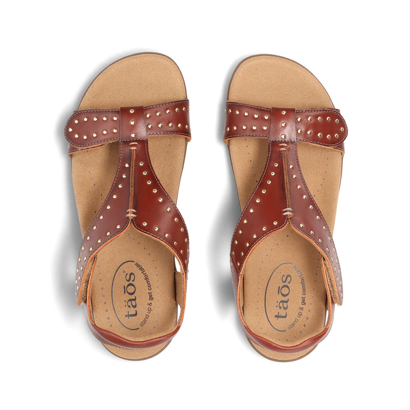 Show Stopper - Image 5