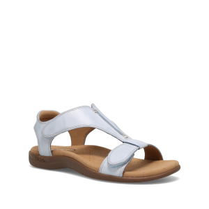 The Show