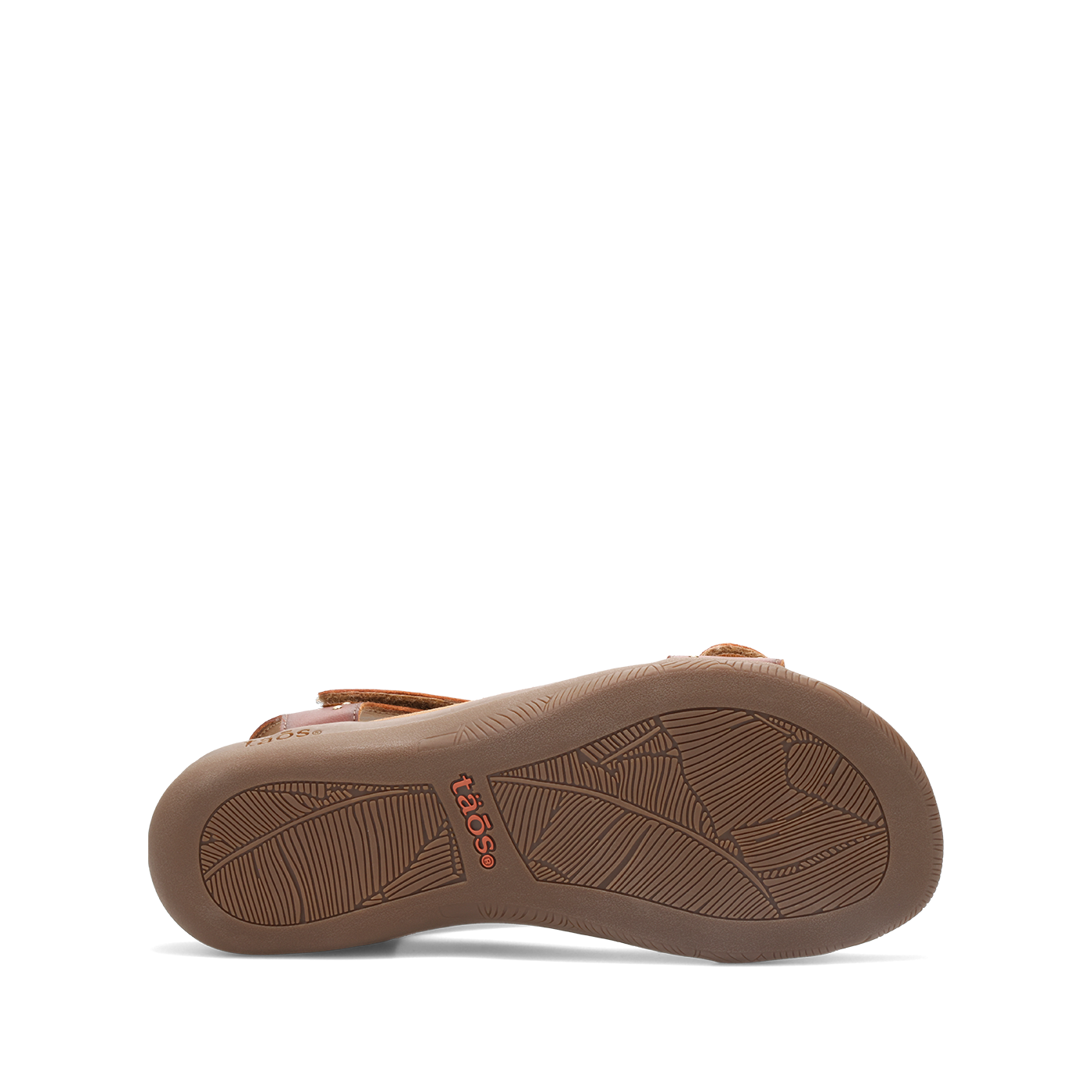 Show Stopper - Image 6